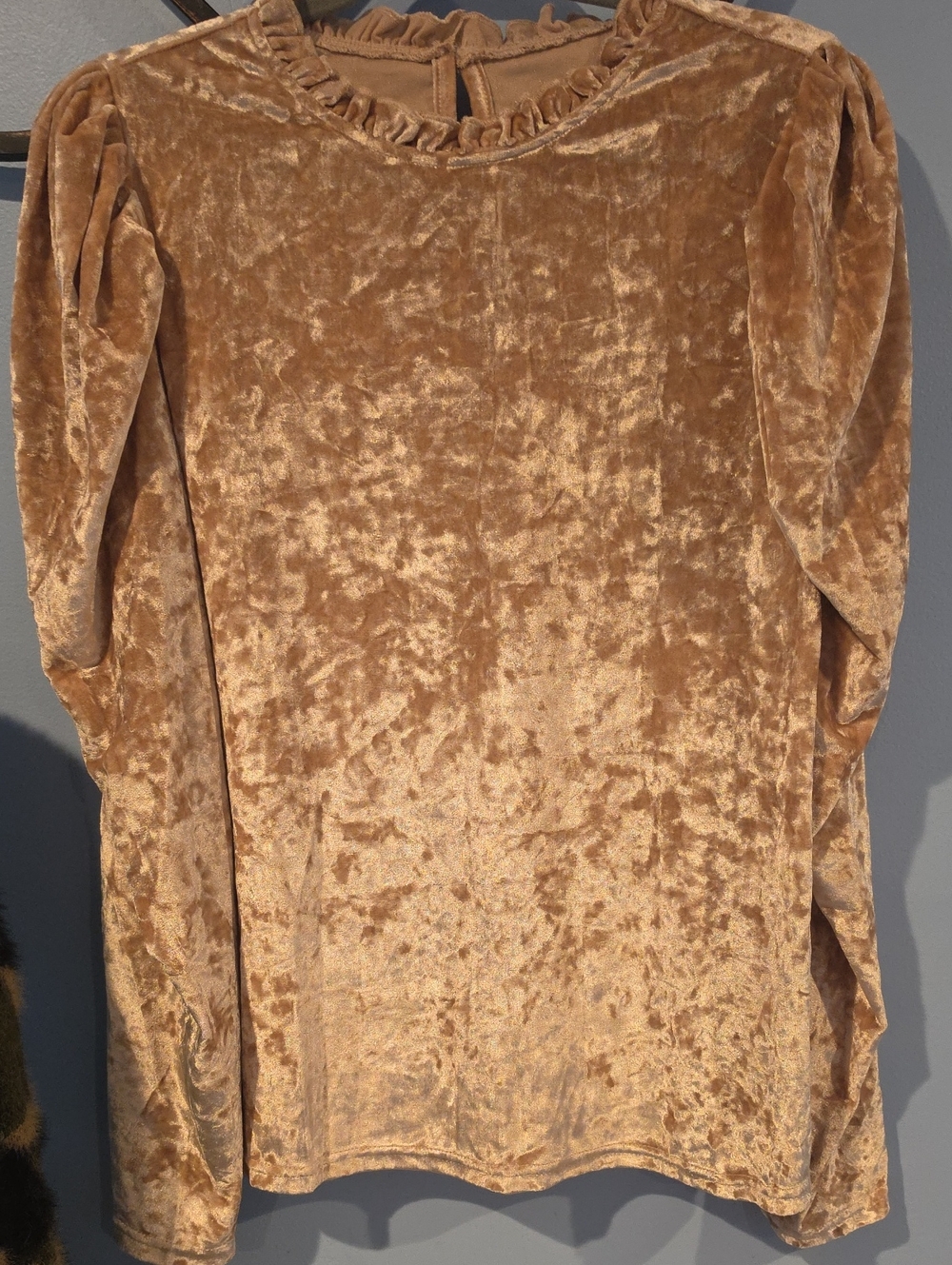Champagne Velvet Long Sleeve Top